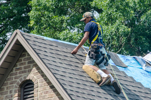 Best Roof Leak Repair  in Cahokia, IL